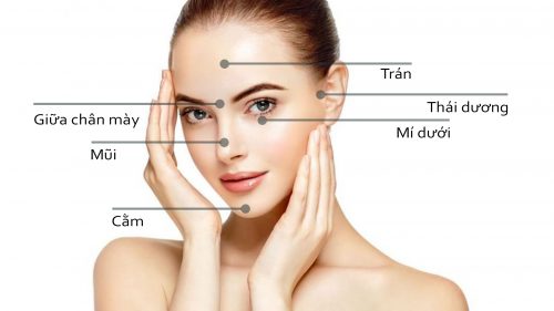 Những vùng có thể tiêm filter hoặc botox